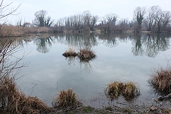 Jezero Plitka