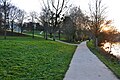 Chemin des bords de Vienne, Limoges (16 janvier 2012)