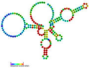 GlmS ribozyme: Secondary structure for the riboswitch marked up by sequence conservation. Family RF00234.