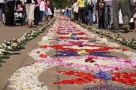 Image illustrative de l’article Tapis de fleurs