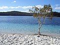 Image 9Lake McKensie, K'gari (Fraser Island) (from Queensland)