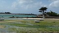 La Baie de Brignogan vue de la Plage du Garo à marée basse.