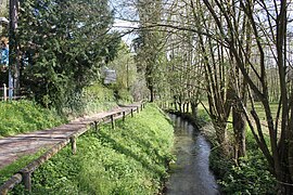 Un des bras du torrent d'Authou.