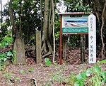 Nakanooku Stele