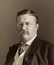 Theodore Roosevelt, 26º Presidente dos Estados Unidos