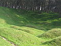 The grounds at Vimy Ridge, 90 years after the battle.