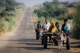 Région du district de Tharparkar (Pakistan).