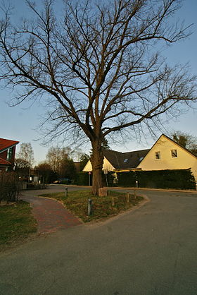 Delingsdorf