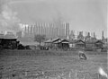 Image 47Blast furnaces such as the Tennessee Coal, Iron and Railroad Company's Ensley Works made Birmingham an important center for iron production in the early 20th century. (from History of Alabama)