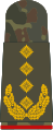 Aufschiebeschlaufe Feldanzug Heeresuniformträger General