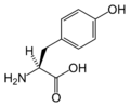 L-tirozin (Tyr / Y)