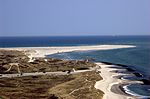 Grenen