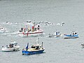 Image 3Boats driving a pod of pilot whales into a bay of Suðuroy in 2012 (from Culture of the Faroe Islands)