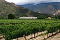 A winery set between vineyards and mountains