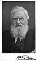 Alfred Russel Wallace