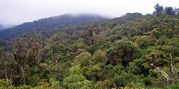 Parque Nacional Amboró