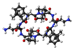 Ball-and-stick model of the Gramicidin S molecule