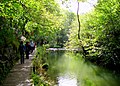 Walking by the river, Dovedale, England