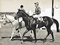 Delta,1950 & 1951 winner