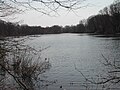 Lawrence Brook in East Brunswick