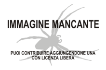 Immagine di Zelotetis calefacta mancante