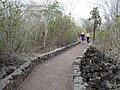 Sentiero di Tortuga Bay, Galápagos