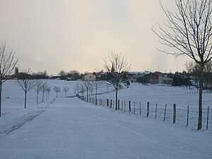 Vista hivernal