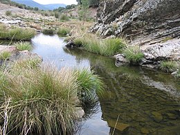 Navas de Estena – Veduta