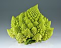 Fractal Broccoli