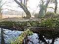 La cache de Cadoudal sur un talus.