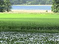 Les couleurs de la campagne à Haninge