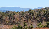 Forest in foreground with outline of mountains in the background