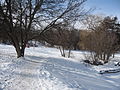 Trans Canada Trail in winter in Peterborough, Ontario