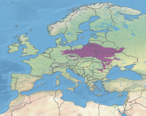 Ecoregion territory (in purple)