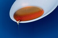 This honey-spoon, at the Bonn University in 1994, was the first technical product to demonstrate the self-cleaning effect of superhydrophobic surfaces after the discovery of the lotus-effect in 1977