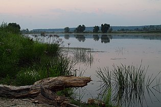 Wiks va Zuca kuksa