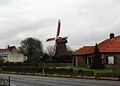 De molen in zijn biotoop