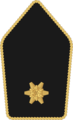 Leutnant (Austrian Army)[10]