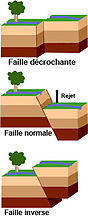 Les 3 principaux types de failles qui correspondent aux trois types de mouvements tectoniques (transformant, divergent, convergent). Ce bloc-diagramme masque deux faits : bon nombre de failles sont composites et ont ces trois composantes ; les failles visibles sont rares par rapport aux failles aveugles qui ne se traduisent par aucun décalage en surface.