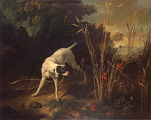 Chien pointant une perdrix (1725), musée de l'Ermitage (Saint-Pétersbourg).