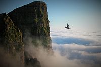 Beinisvørð, 469 m på det sydvestlige Suðuroy, er et af Færøernes mest kendte fuglefjelde med tusinder af rugende fugle.