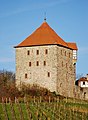 Turm, Burg Wildeck (Abstatt) 14. November 2010