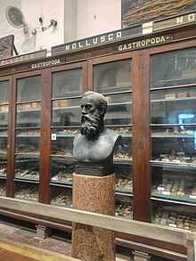 Bust of the Moravian - Indian paleontologist Ferdinand Stoliczka in the paleontology section