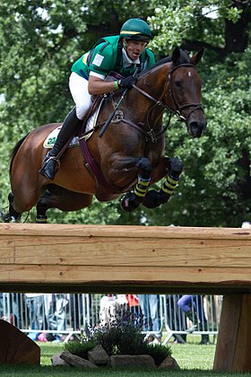 Marcio Carvalho Jorge et Josephine, cheval de sport brésilien (BH)