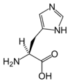 L-Histidina (His / H)