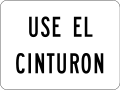 R16-1p Wear seat belt (text plate)