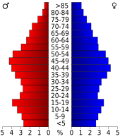 Bevolkingspiramide Dickenson County