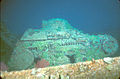 2-man tank on the deck of the Nippo Maru