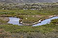 Meander in de Tidal River (Australië)