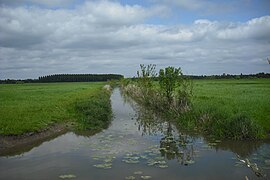 Photographie d'un canal au milieu de prairies.